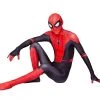Adult Arachnid Hero (with Plastic Eyes) -role play 20210928 171511 023