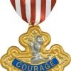 The Wizard Of Oz - Cowardly Lion - Badge Of Courage -role play 500