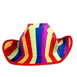 Rainbow Cowboy Hat