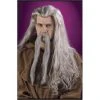 Fun World Wizard Wig -role play 8194