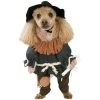 Wizard Of Oz Scarecrow Pet Costume -role play c4ebcede 7433 4924 838a 1aa3fed336d3 1.2f2b3565bbf0582b1f90b0d8ed1efbfa