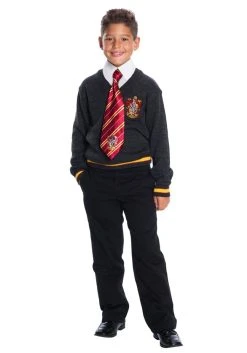 Harry Potter - Gryffindor Student Deluxe Child Costume 8 Harry Potter - Gryffindor Student Deluxe Child Costume -role play img proxy 26ab6701 17b9 4b31 840e 16639772f2c0